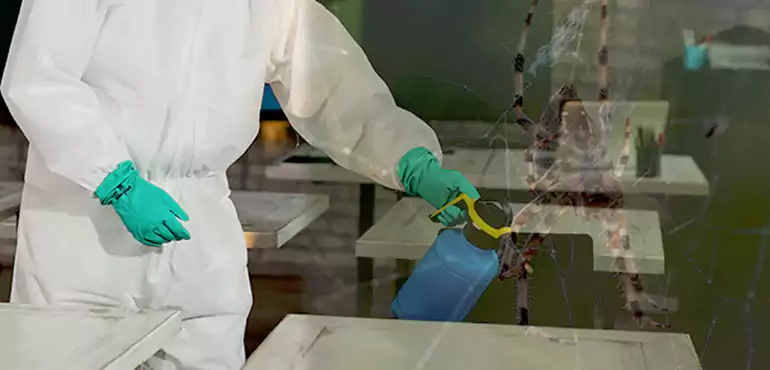Why Buyers Still Want Homes With Pest Infestations in Indianapolis, IN?