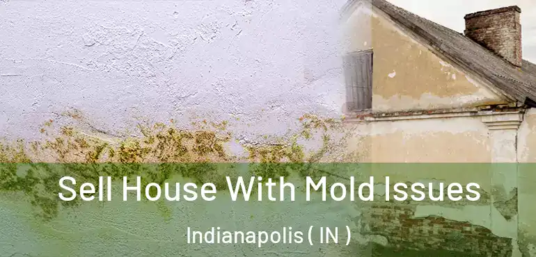  Sell House With Mold Issues Indianapolis ( IN )